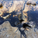 Illustration for article titled Santa Barbara Still Reeling From the Worst Oil Spill in Decades